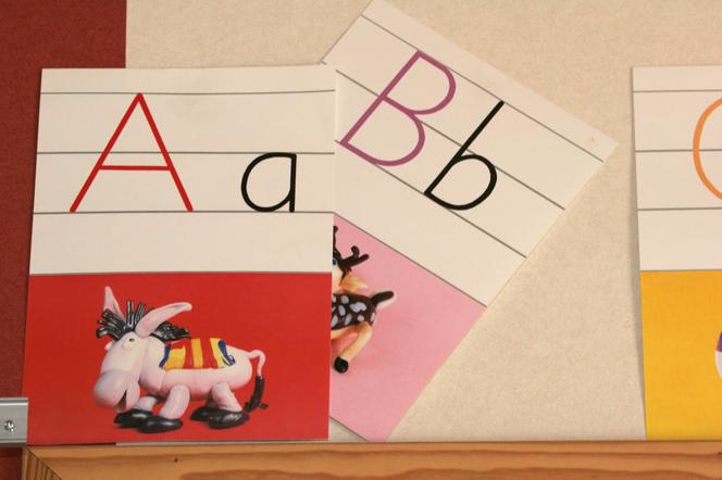 QUIZ: Ę, em czy en? Wskaż poprawną pisownię