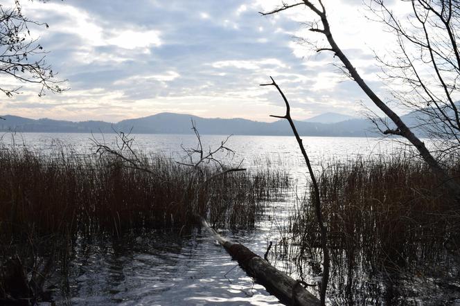 Niemiecki wulkan Laacher See