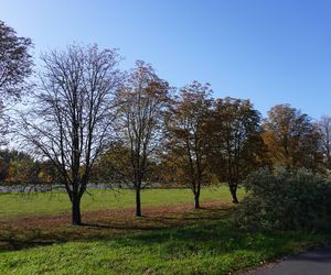 Park im. św. Jana Pawła II w jesiennych barwach