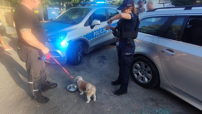 Policjanci uratowali psa pozostawionego w zamkniętym samochodzie