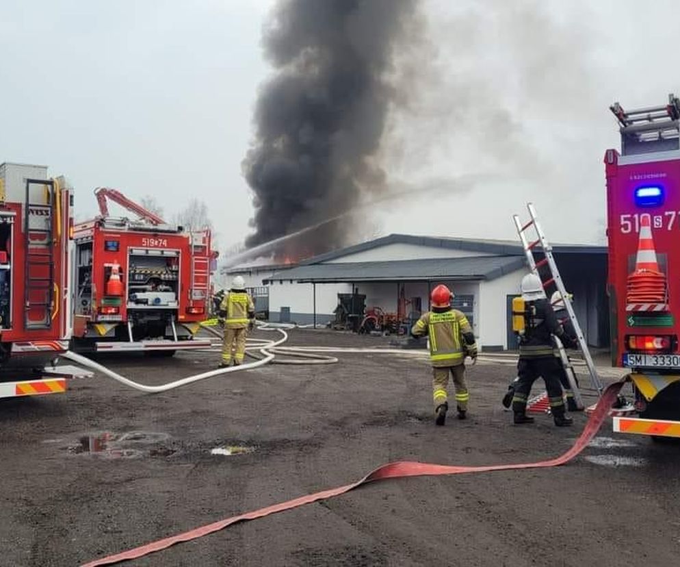 Pożar hali magazynowej w Gostyni ZDJĘCIA