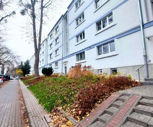 Nawet kojec dla psów jest większy niż to mieszkanie. Mikrokawalerka 8 mkw. do wynajęcia w Warszawie