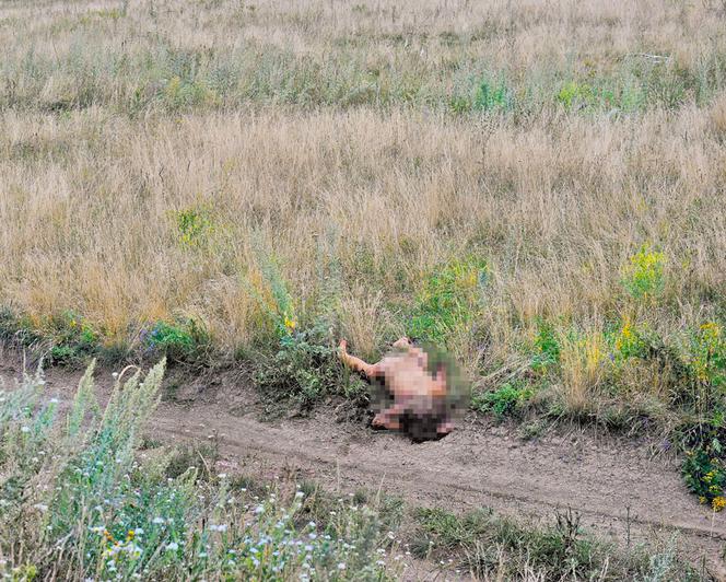 RAKIETY PUTINA strąciły samolot