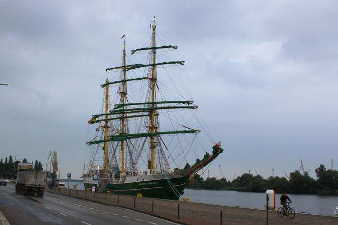 Alexander von Humboldt II