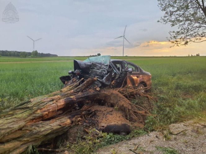 Tragedia pod Skierniewicami. 28-letni kierowca zginął po zderzeniu z drzewem