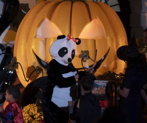 Halloween w Białym Domu. Pierwsza dama jako wielka panda