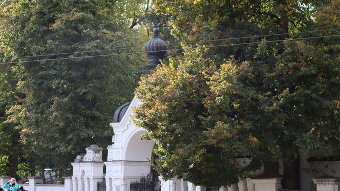 Nowa pora roku już jest w mieście. Lublin przybrał już jesienne barwy. Zobaczcie!