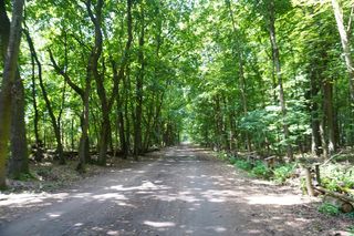 Las Kabacki w Warszawie