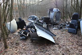 DZIUPLA W WOŁOMINIE