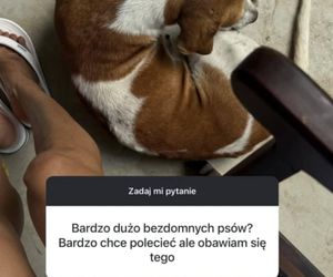 Małgorzata Rozenek-Majdan