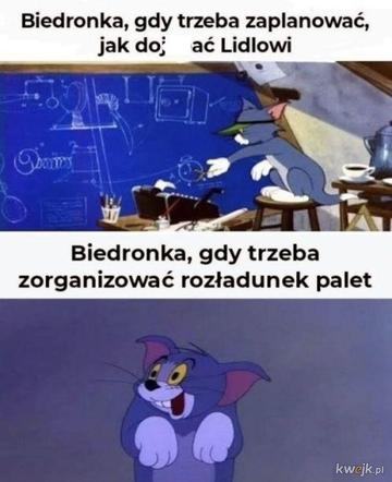 Zacięta walka Biedronki i Lidla trwa. Memy o dyskontach zalały internet. Pękniesz ze śmiechu!