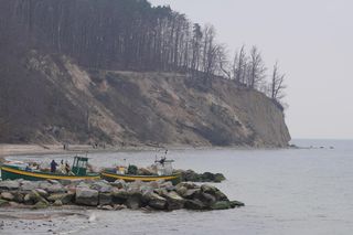 Gdynia. Przyszłość klifu w Redłowie. Czy uda się go ochronić?