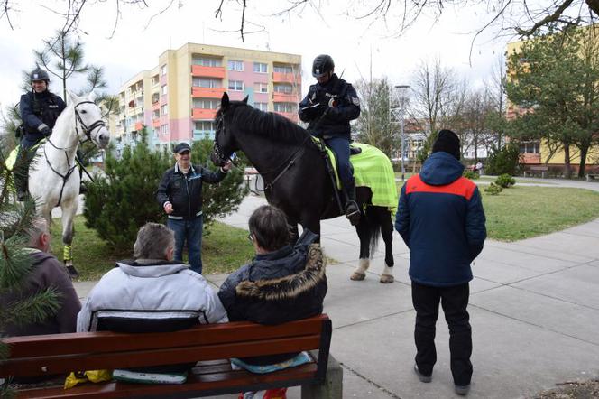 Patrole konne w Policach