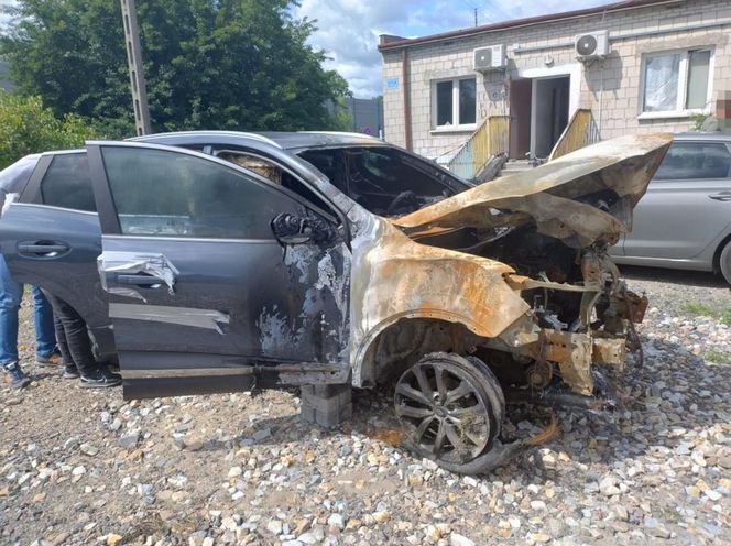 Galeria: „Kobra” znowu w akcji. Odzyskali luksusowe auta skradzione z Hiszpanii i Szwecji