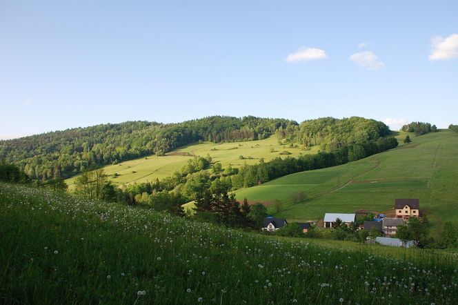 To dawna wieś biskupia w Małopolsce. Kiedyś sprowadzano do niej wino z Węgier