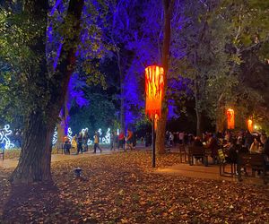 Light Move Festival 2025