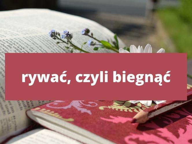 Te słowa tylko na Podkarpaciu! Znasz znaczenie tych słów? 