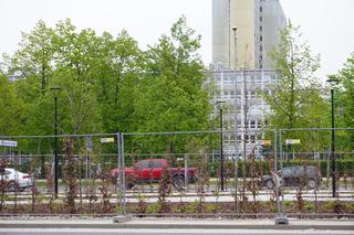 Ogród Wolności przy Alei IX Wieków Kielc