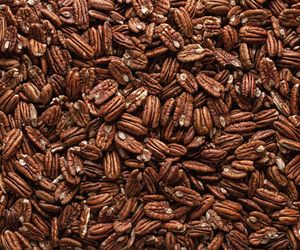 Na dobry wzrok, smukłą sylwetkę i świetną pamięć. Mało znane orzechy to przepis na zdrowie