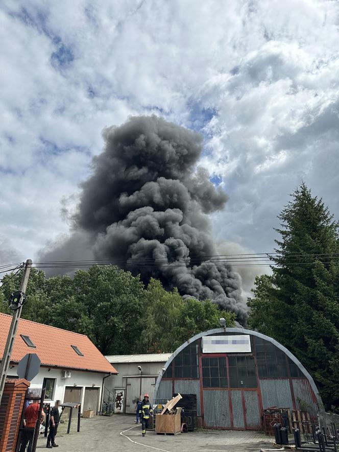 Potężny pożar magazynu w Sulejówku! Kilkudziesięciu strażaków walczy z żywiołem