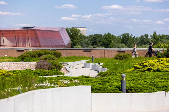 Ogród na dachu Centrum Nauki Kopernik