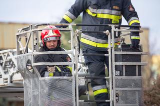 Kot fajtłapa wezwał strażaków.