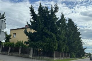 83-letni Jerzy S. nie wytrzymał. Teraz grozi mu dożywocie. Rodzinny dramat w Zamościu