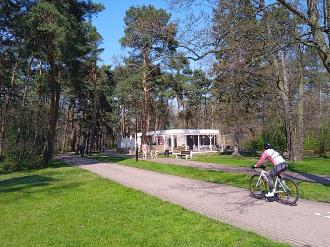 Mieszkańcy korzystają ze słonecznej pogody. Na plaży w Jelitkowie widać już pierwszych spacerowiczów!