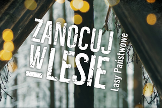 To będzie gratka dla fanów survivalu i bushcraftingu. Od maja w Nadleśnictwie Karczma Borowa rusza program Zanocuj w lesie [AUDIO]