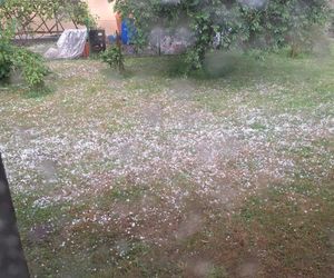 Zniszczone plantacje warzyw i owoców na Dolnym Śląsku. To był prawdziwy armagedon 