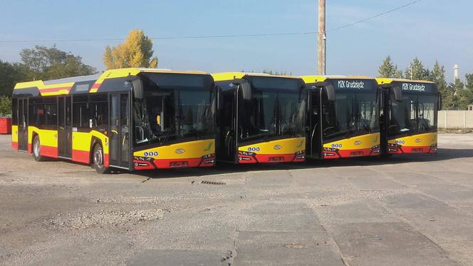 Więcej autobusów i tramwajów - miasto przywraca kursy sprzed epidemii