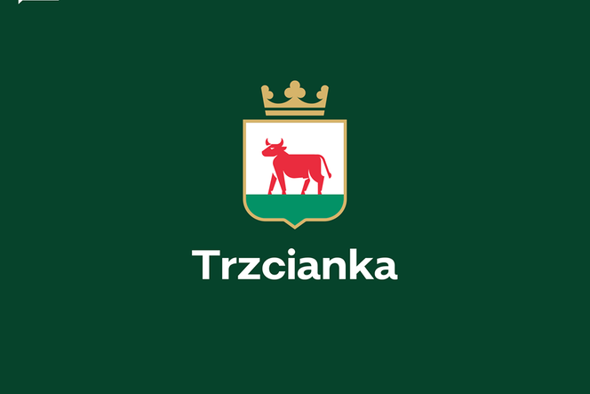 Ciołek przegonił sarenkę. Gmina Trzcianka zmienia swoje logo. 