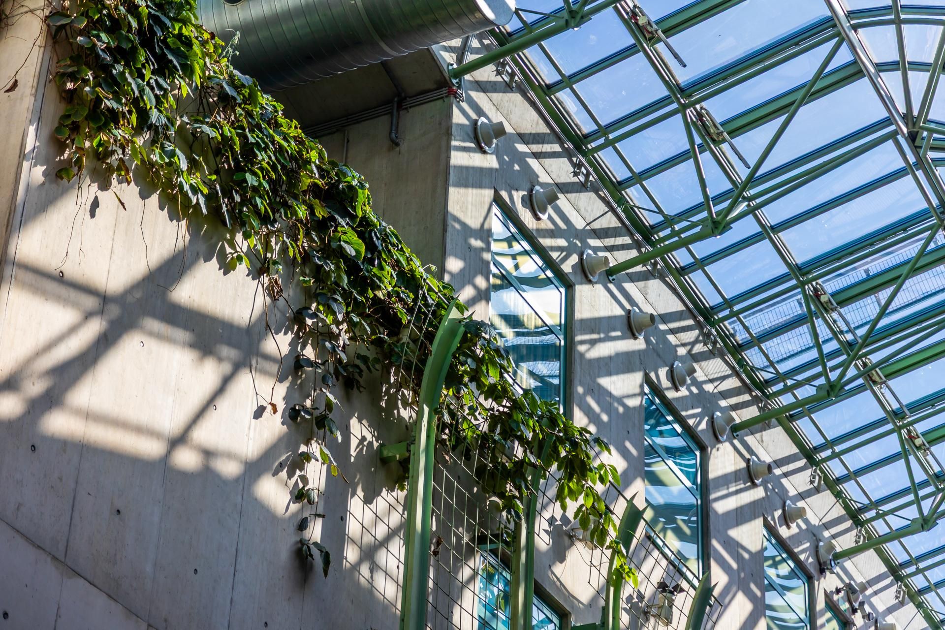 Biblioteka Uniwersytetu Warszawskiego