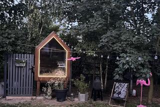 Luksusowy kurnik w Tarnowskich Górach