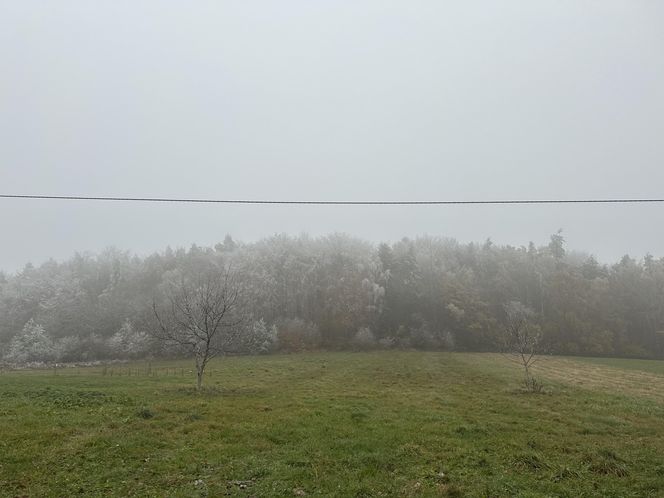 Najpiękniejsza wieś w Małopolsce zachwyca także jesienią. Leży na Szlaku Orlich Gniazd