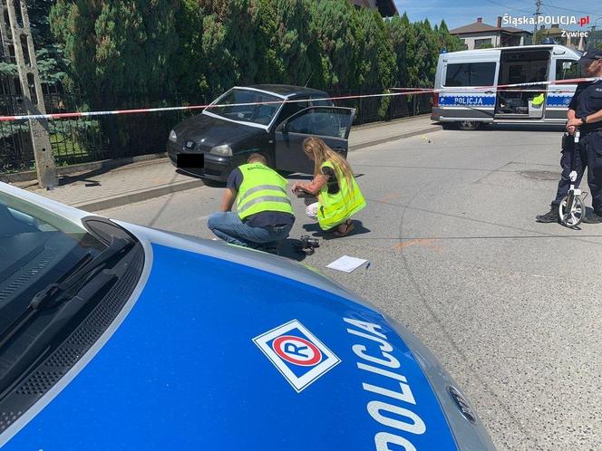 Śląskie: Pościg za sprawcą kradzieży. Policjanci oddali strzały