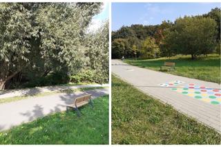 Nowe ławki w Parku Centralnym. Gdzie dokładnie je znajdziemy? [ZDJĘCIA]