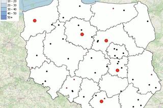 Mapa wypadków ze skutkiem śmiertelnym w Polsce. Jak ją znaleźć? 