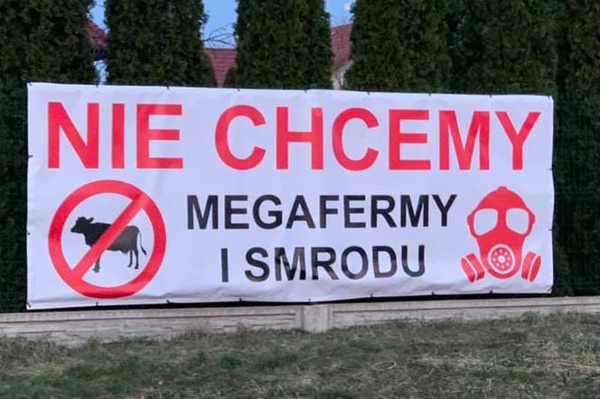 Mieszkańcy Sadkowa na Dolnym Śląsku nie chcą fermy 1000 krów 