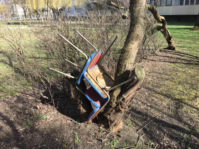 Przy śmietnikach we Wrocławiu łatwo znaleźć stare meble