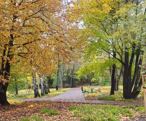 To najpiękniejszy park miejski w Olsztynie według AI. Zajmuje niemal 13 hektarów!
