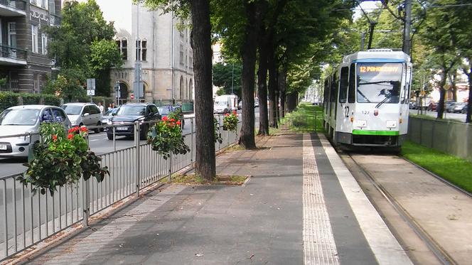 Kwietniki na przystanku tramwajowym na placu Kościuszki