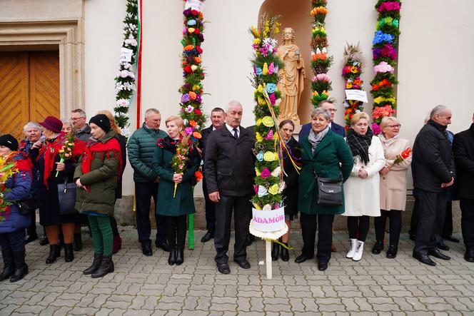 Rekordowe palmy i kiermasz świąteczny w Krynkach