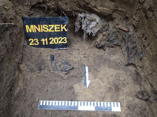 Szukali zabytków w lesie, znaleźli ludzkie szczątki. Na miejsce wezwano policję [ZDJĘCIA]