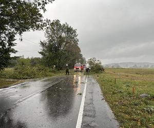 Trąba powietrzna w Łódzkiem. Zniszczenia w gminie Poświętne