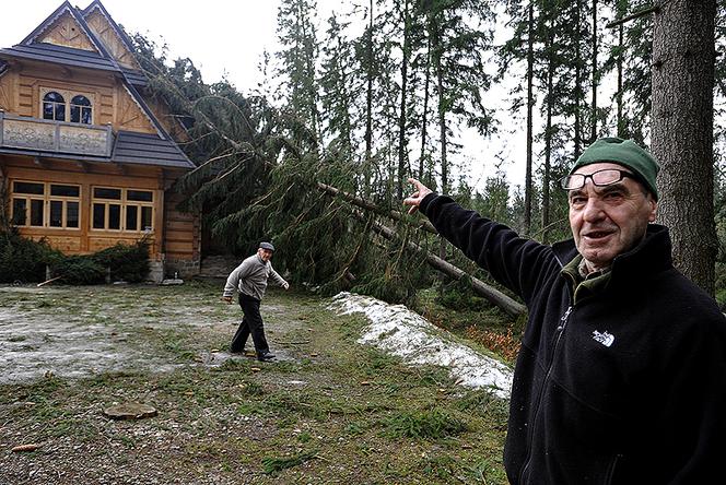 Halny w Tatrach. Połamane drzewa, uszkodzone domy