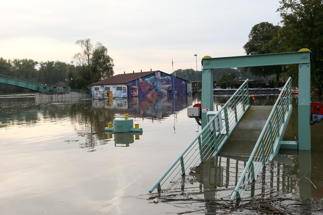 Nowa Sól - stan Odry na 23 września