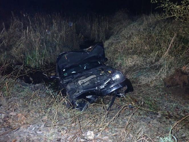 Rybnik: Jechała tak szybko, że wykąpała samochód w zalewie! [ZDJĘCIA]