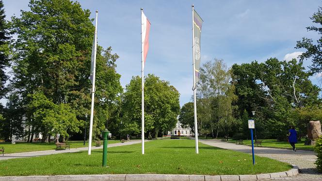 Zajęcia zdalne i hybrydowe! Jak będzie wyglądał nowy rok akademicki na uczelniach?