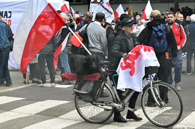 Protest w Warszawie 